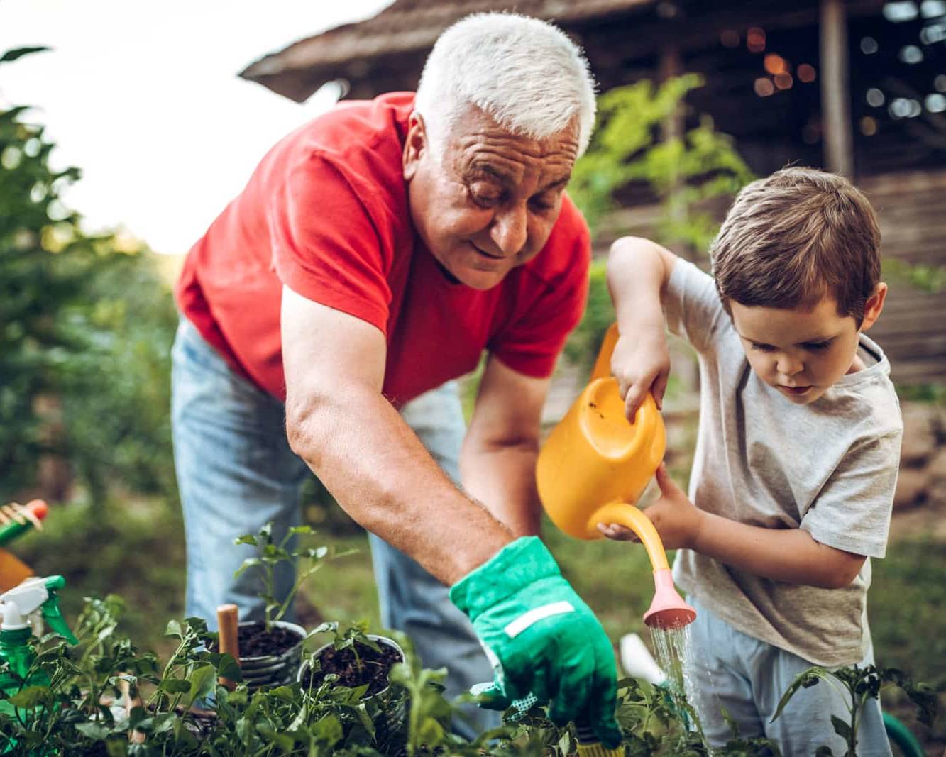 Estate and Succession planning- helping you build your legacy