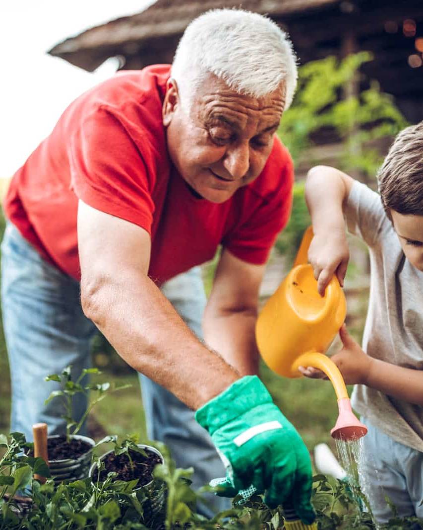 Estate and Succession planning- helping you build your legacy