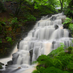 IFA in the North West