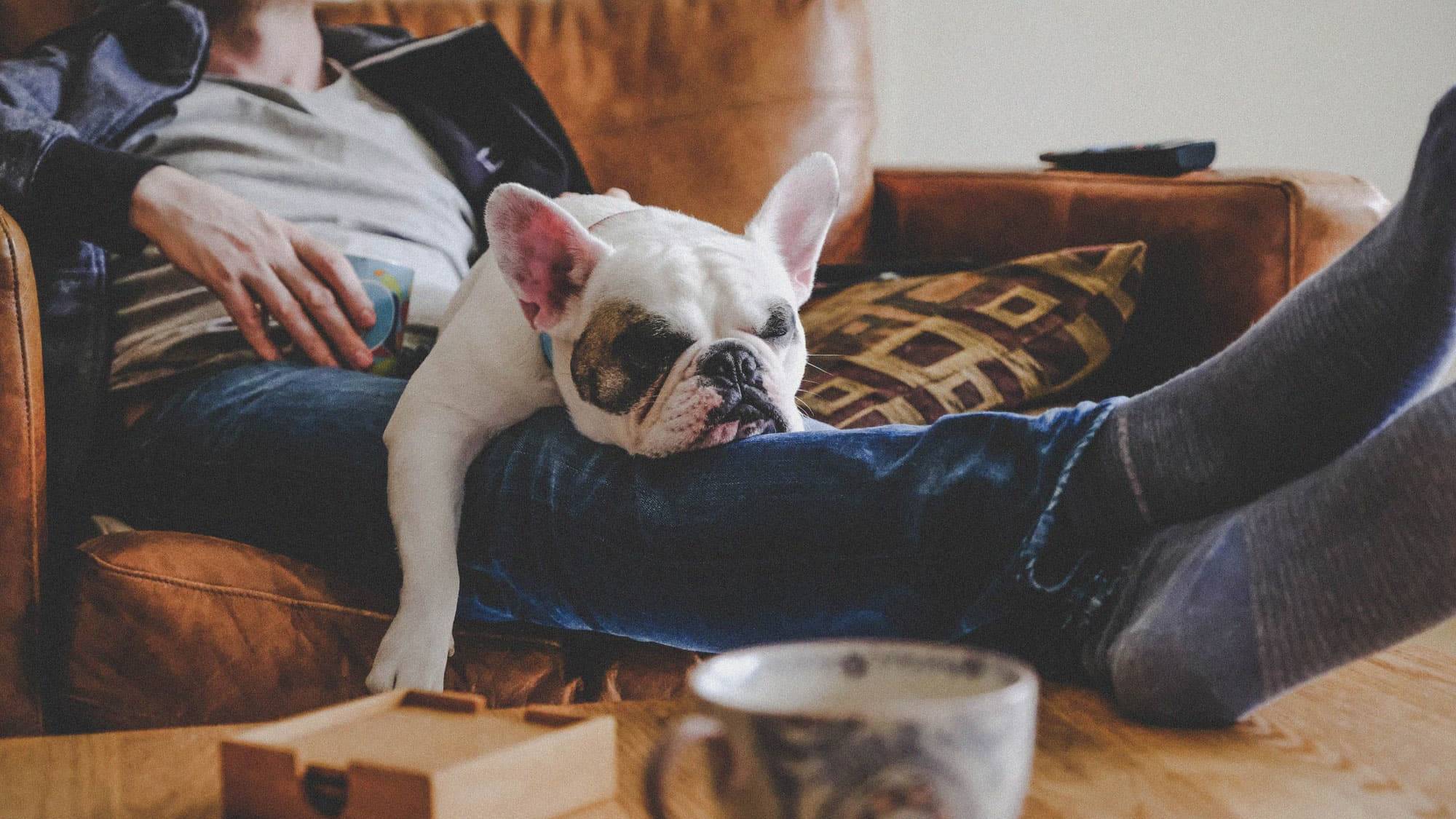 relaxing man and dog