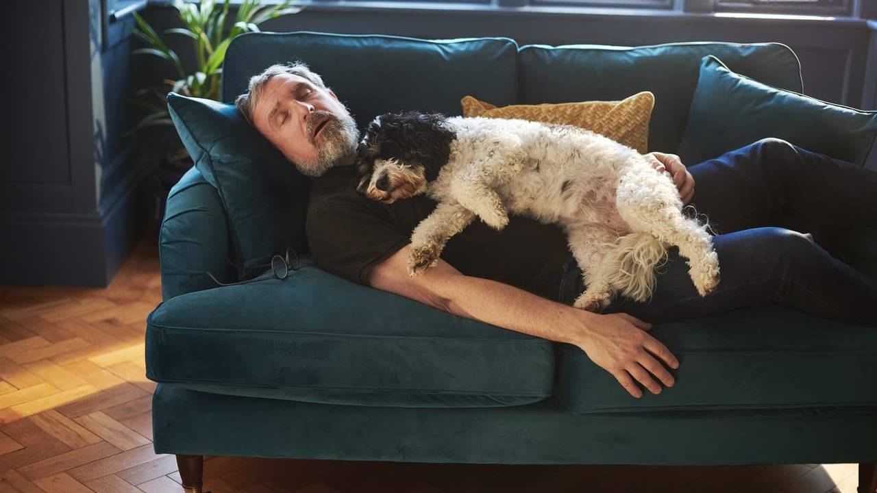 Man and dog dreaming on the sofa