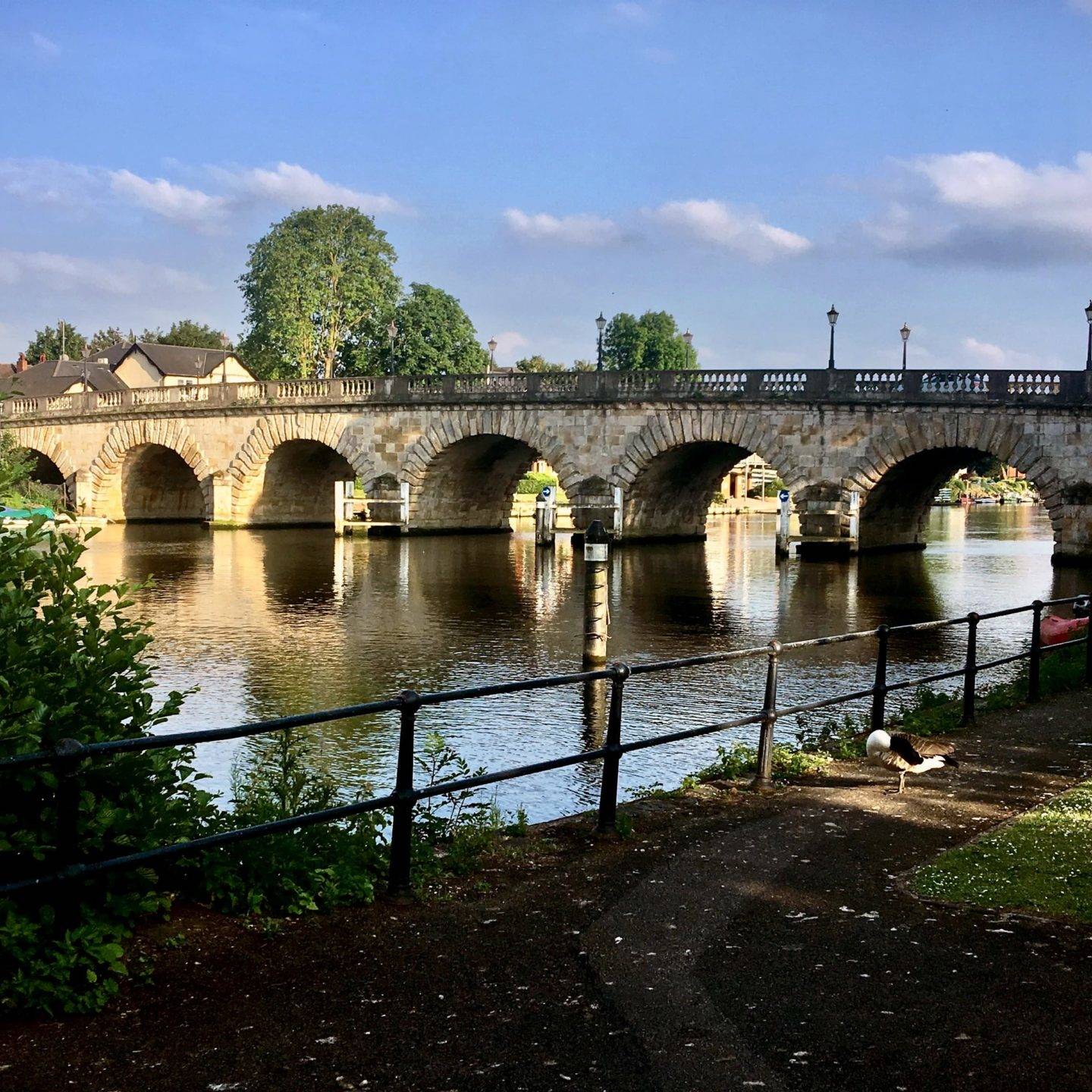 Brunel's Railway Bridge
