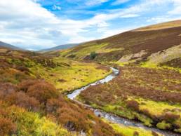 Glen Fiddich, near Dufftown, in the Moray region of Scotland