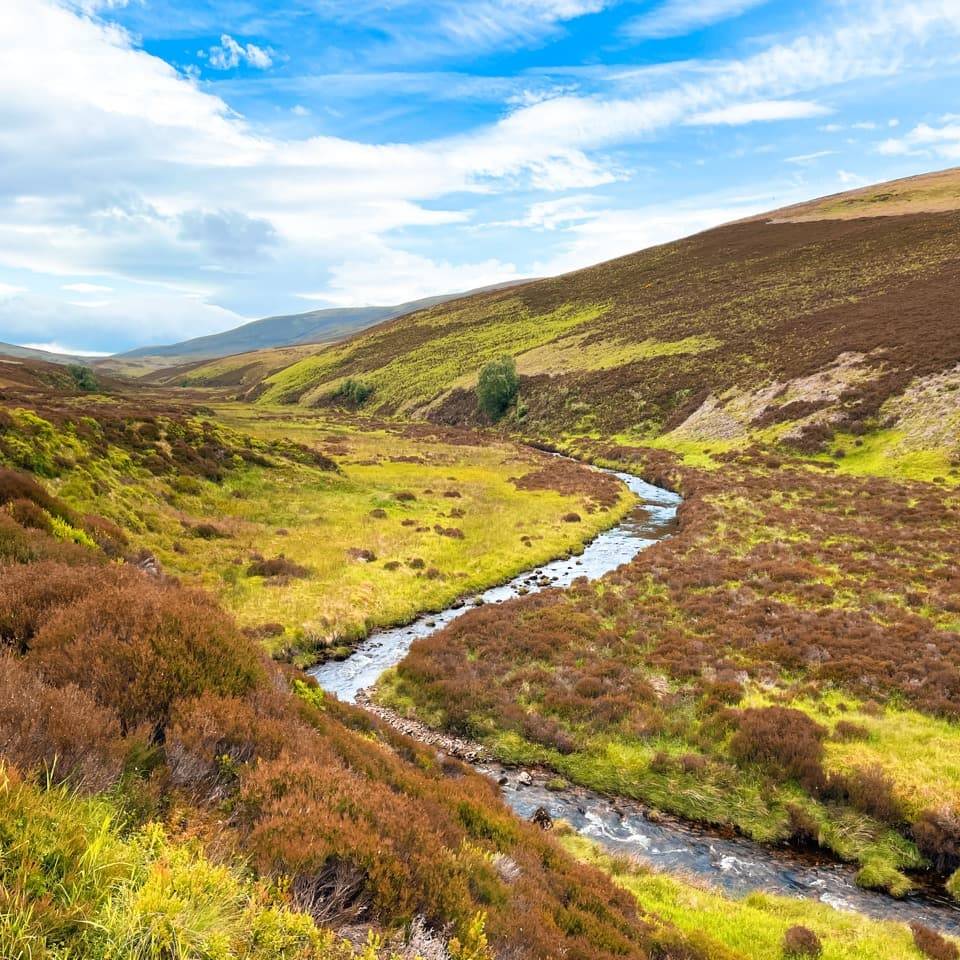 Glen Fiddich, near Dufftown, in the Moray region of Scotland