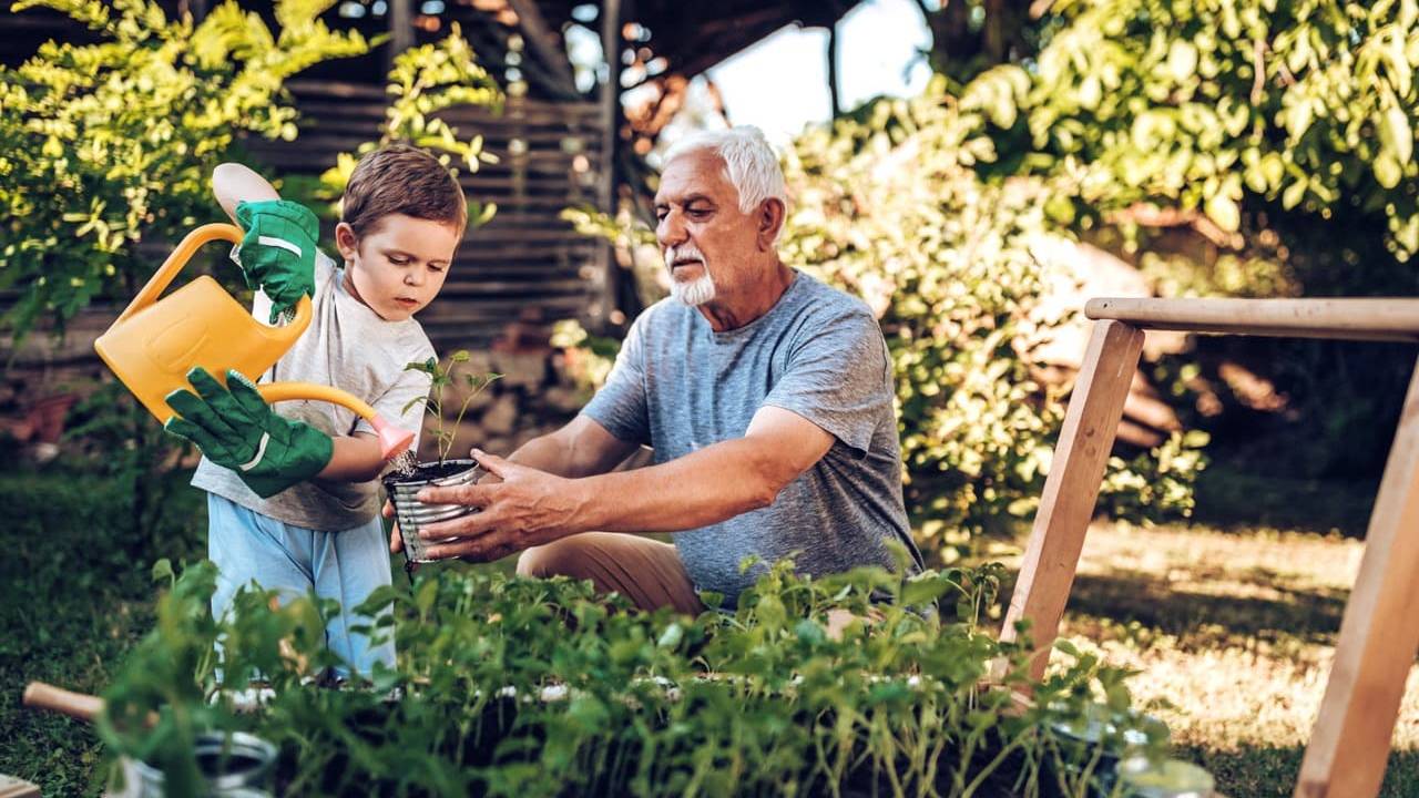 Grandfather and grandson watering plant