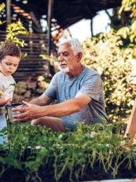 Grandfather and grandson watering plant