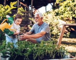 Grandfather and grandson watering plant