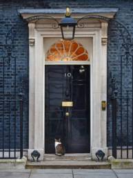 10 Downing Street