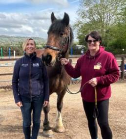 Horse Charity